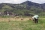 <p>So how do they study it? For example, scientists apply pesticides labelled with a radioactive isotope — carbon-14 (14C) — to soil mixed with biochar.</p>

<p>Like this, they can follow the pesticides’ behaviour and can check if biochar actually holds them in the soil to avoid losing it to ground waters.</p>
