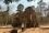 Cambodia is home to many unique cultural sites, four of which are recognized as UNESCO World Heritage Sites. However, this heritage is at risk of deterioration, damage or loss due to the country’s tropical climate.
