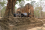 Archaeologists from Cambodia’s Ministry of Culture and Fine Arts (MCFA) have received IAEA support for theoretical and hands-on training to use a handheld X Ray fluorescence (XRF) spectrometer, procured under an IAEA technical cooperation project. This portable, non-invasive device is used to characterize cultural heritage objects and materials by identifying their elemental composition. 

