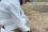 IAEA expert collects samples of soil in the Chornobyl Exclusion Zone to later be analysed for levels of radiation.