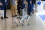 This four-legged robot was one of the most head-turning exhibits at #ICARST2025. The robot can help experts map and monitor areas that have been contaminated by high levels of radiation. It can go into places that might be too difficult for people to access, making the work more efficient and safer while reducing the risk of exposure. 