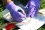 All samples taken were clearly labelled for easy identification and sample tracking.