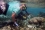 Workshop participants also took part in practical training on the deployment of window screen artificial substrate for collection of benthic HAB species. 
