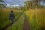 Surveillance is ever more relevant as the Democratic Republic of the Congo, or DRC, faces a new Ebola outbreak since August 2018. <br /><br />
Photos and text: Laura Gil/IAEA