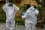 "To diagnose and identify a virus, you need a high-quality sample, taken properly and shipped the right way," says Hermann Unger, technical officer at the Joint FAO/IAEA Division of Nuclear Applications in Food and Agriculture. "This implicates protecting both yourself and the animal."