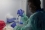 Using nuclear-derived techniques and equipment donated by the IAEA, the vets check if these tiny animals are carrying any viruses.