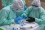 Where veterinarians take blood and saliva samples.