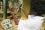 Using nuclear-derived techniques, scientists from 13?African countries have carried out the first ever regionwide assessment of groundwater in this area of 5?million square kilometres, with the help of the IAEA.