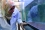 Sufiya Sajid, a lab assistant, is checking algae growth in low pH seawater conditions.