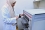 Montaha Behbehani, an associate research scientist, is preparing the alpha spectrometry system for radionuclide determination in seawater samples.