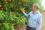 In the orchard: Farmer Gerrit van der Merwe is surveying his healthy, moth-free orange crop. 