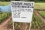 They have inoculated 100 samples of SUPA BC with the Rice Yellow Mottle Virus and irradiated them with various doses. One of the samples was found resistant to the disease! Researchers are now testing the surviving variety further to validate its resistance.