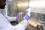 Rinderpest, the plague that affected thousands of cattle and endangered the livelihoods of farmers worldwide was declared eradicated in 2011. This achievement would not have been possible without the active assistance of the Animal Production and Health Laboratory in Seibersdorf. The scientists at this laboratory developed improved tools to monitor the efficiency of the vaccination efforts. 

Photo Credit: Dean Calma / IAEA