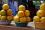 Oligochitosan has even been proven to extend the shelf life of fruits like mangos and oranges, keeping them firm and attractive to consumers for longer periods.