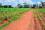 <strong>Supporting Soil and Agricultural Water Conservation</strong><br>
IAEA Technical Cooperation projects help Member States to improve soil fertility and increase crop yields, and build capacities for soil conservation, land use planning and decision-making.
