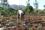 Using super water absorbents keep the fertilizer close to the roots for as long as they need it. This reduces waste, reduces pollution of waterways, and saves farmers money.