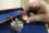 Once detaching the seal from the camera to remove the memory card, the inspector closes it again and attaches a new seal.