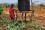 An IAEA drip irrigation project is helping communities to grow foodstuffs and cattle fodder …