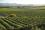Agriculture is one of the main pillars of Chile’s economy. With its quality wines and extensive food production industries, this South American country is a key player on the global food markets.