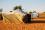 Fertile soil is a precious and limited resource, and desertification has a major impact on soils in arid, semi-arid and dry sub-humid regions. This can result from various factors, including climatic variations and human activities. 
<br>
<br>
Each year, over 12 million hectares of land are degraded, which cuts into the soils capacity to feed the 1.5 billion people who live on deteriorating lands. As the rate of desertification rises around the world, the phenomenon is increasingly affecting access to food and water. 