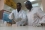 <p>STOPPER LA PROPAGATION DES MALADIES ANIMALES :</p>
<p>En République centrafricaine, des scientifiques conjuguent leurs forces grace à l’AIEA pour prévenir la propagation de maladies transmissibles de l’animal à l’homme, appelées ? zoonoses ?.</p>
<p>Par exemple, avec l’appui de l’AIEA, Abel Wade (à gauche), directeur du Laboratoire national vétérinaire (LANAVET) à Yaoundé (Cameroun), a passé une semaine à Bangui (République centrafricaine). Au cours de cette période, il a échangé avec d’autres scientifiques ses connaissances spécialisées sur l’identification des maladies animales à l’aide de techniques dérivées du nucléaire.</p>
