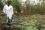 Geralde Gado Yamba Kassa, chercheuse qui a passé six mois en tant que boursière en visite aux laboratoires de l’AIEA en 2015 et 2016, peut voir lesquelles sont résistantes et lesquelles ne le sont pas. ? C’est une formidable occasion d’augmenter la production dans le pays, ?, dit-elle.