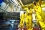 <br /><br />
The photos in this collection were taken during a Safeguards Comprehensive Training Exercise at Dukovany Nuclear Power Plant in the Czech Republic on 11 June 2015.
<br /><br />
Photos by D. Calma
<br />
? IAEA 2015