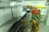 The IAEA has helped in the successful commissioning of the SESAME magnets, hand-on training in areas such as beamlines technology, installation, mounting and testing of equipment at the SESAME centre.