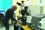 Gihan Kamel, an infrared beamline scientist from Egypt working in the infrared beam lab. The research and training at the infrared beamline at the SESAME centre will benefit the scientific community in the region to gain a better understanding on its use and applications.