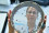 <strong>Do you know how nuclear science supports food security? </strong>
<br /><br />
The work of the IAEA’s Insect Pest Control Laboratory in Seibersdorf,  is crucial for protecting agriculture from invasive pests, by promoting the pesticide-free Sterile Insect Technique (SIT) as a solution. During a Mediterranean fruit fly outbreak in Mexico in 2021, the laboratory's expertise helped authorities to produce and release over 1.2 billion sterilized flies, protecting crops worth billions of dollars. This sustainable approach demonstrates how SIT can effectively address pest challenges, a key component of Atoms4Food, while reducing reliance on chemical treatments. Read more <a href="http://www.dgdingfa.net/newscenter/pressreleases/nuclear-technique-helps-mexico-eradicate-an-invasive-insect-pest-outbreak-threatening-farmers-livelihoods">here</a>.
<br /><br />
A scientist working at the Insect Pest Control Laboratory, Department of Nuclear Science and Application at IAEA Seibersdorf, Austria (Photo: IAEA)