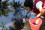 <strong>Do you know how isotopes can help trace the origins of urban water pollution?</strong>
<br/><br />
 In Mauritius, research using isotopic techniques has helped scientists track the sources of nitrate pollution in urban waterways. Supported by the IAEA, this innovative approach equips policymakers with the tools to address contamination, protect public health, and preserve vital waterways. By tracing pollution at its source, isotopes offer a sustainable solution to urban water management challenges. Read more <a href="http://www.dgdingfa.net/newscenter/news/isotopes-help-trace-the-origin-of-urban-water-pollution-in-mauritius">here</a>. 
<br /><br />
An isotope hydrologist collects water samples from a pollution-affected site near Port Louis to investigate contamination sources. (Photo: I. Matiatos/IAEA)
