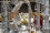 <strong>Do you know how nuclear data supports the future of fusion energy?</strong>
<br/><br />
The IAEA’s Nuclear Data Section provides critical atomic and molecular data essential for fusion energy research. This data supports advancements in plasma diagnostics and helps optimize fusion devices like tokamaks, which are now achieving fusion reactions thanks to stronger magnetic fields and improved materials. By enabling progress toward milestones such as pilot plant development, the IAEA’s efforts are helping to transition fusion from a distant dream to a viable energy solution for the future. Read more <a href="http://www.dgdingfa.net/bulletin/fusion-ready-when-society-needs-it">here</a>. 
<br/><br />
The ST40 tokamak, developed and operated by a private fusion energy company, Tokamak Energy, in October 2020. (Photo: Tokamak Energy)