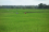 In Zanzibar agriculture is the main source of income for around 70 percent of the population.
