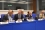 State Parties of the regional cooperative agreements in Africa (AFRA), Asia and the Pacific (RCA), and Latin America and the Caribbean (ARCAL), and the cooperative agreement for Arab States in Asia (ARASIA), each met during the Conference to discuss regional technical cooperation. European Member States also met to discuss regional activities. 
