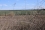 In a remote region of Mendoza, western Argentina, an insect-producing factory is open 24/7.
<br /><br />
Every day, sterilized Mediterranean fruit flies are released across Mendoza and in Patagonia.
