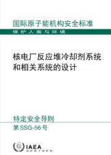 核電廠反應堆冷卻劑系統和相關系統的設計
