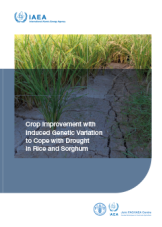 Crop Improvement with Induced Genetic Variation to Cope with Drought in Rice and Sorghum