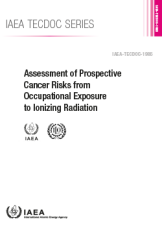 Assessment of Prospective Cancer Risks from Occupational Exposure to Ionizing Radiation