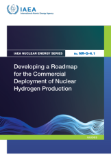 Developing a Roadmap for the Commercial Deployment of Nuclear Hydrogen Production
