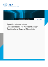 Specific Infrastructure Considerations for Nuclear Energy Applications Beyond Electricity