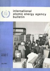 On the International Atomic Energy Agency