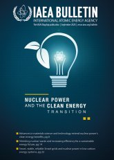 Nuclear Power and the Clean Energy Transition