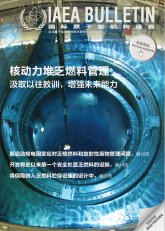 核動力堆乏燃料管理