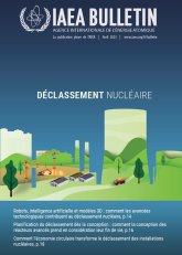 Déclassement nucléaire