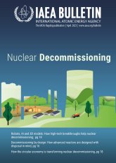 Nuclear Decommissioning