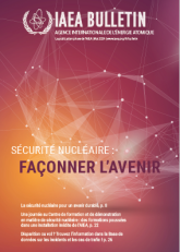 Sécurité nucléaire : fa?onner l’avenir