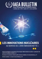 Les innovations nucléaires au service du ? zéro émission nette ?