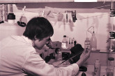 Staff member examining plankton under microscope. 1966. Please credit IAEA