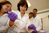 IAEA fellows from different countries in training under the guidance of the IAEA Plant Breeding Unit at Seibersdorf, Austria. (Photo: D.Calma/IAEA)