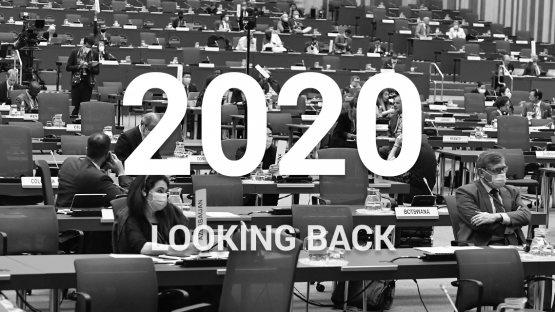2020 - Looking back